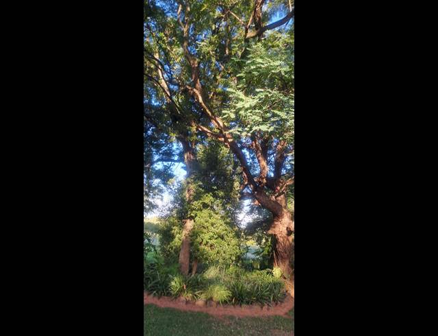 18HA FARM FOR SALE IN RUSTENBURG RURAL